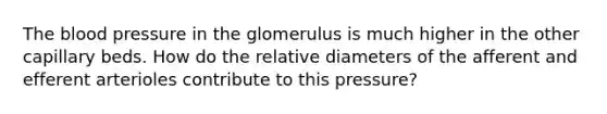 The blood pressure in the glomerulus is much higher in the other capillary beds. How do the relative diameters of the afferent and efferent arterioles contribute to this pressure?