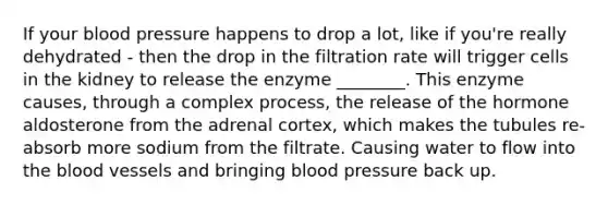 If your blood pressure happens to drop a lot, like if you're really dehydrated - then the drop in the filtration rate will trigger cells in the kidney to release the enzyme ________. This enzyme causes, through a complex process, the release of the hormone aldosterone from the adrenal cortex, which makes the tubules re-absorb more sodium from the filtrate. Causing water to flow into the blood vessels and bringing blood pressure back up.