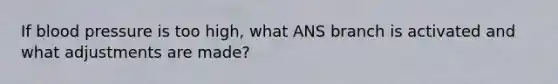 If <a href='https://www.questionai.com/knowledge/kD0HacyPBr-blood-pressure' class='anchor-knowledge'>blood pressure</a> is too high, what ANS branch is activated and what adjustments are made?