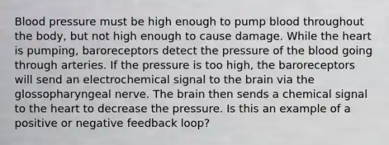 Blood pressure must be high enough to pump blood throughout the body, but not high enough to cause damage. While <a href='https://www.questionai.com/knowledge/kya8ocqc6o-the-heart' class='anchor-knowledge'>the heart</a> is pumping, baroreceptors detect the pressure of <a href='https://www.questionai.com/knowledge/k7oXMfj7lk-the-blood' class='anchor-knowledge'>the blood</a> going through arteries. If the pressure is too high, the baroreceptors will send an electrochemical signal to <a href='https://www.questionai.com/knowledge/kLMtJeqKp6-the-brain' class='anchor-knowledge'>the brain</a> via the glossopharyngeal nerve. The brain then sends a chemical signal to the heart to decrease the pressure. Is this an example of a positive or negative feedback loop?