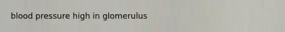 blood pressure high in glomerulus