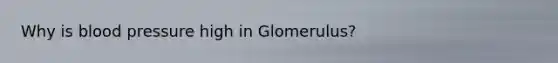 Why is blood pressure high in Glomerulus?