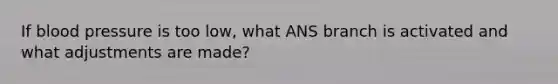 If blood pressure is too low, what ANS branch is activated and what adjustments are made?