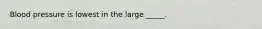 Blood pressure is lowest in the large _____.