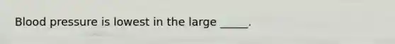 Blood pressure is lowest in the large _____.