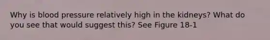 Why is blood pressure relatively high in the kidneys? What do you see that would suggest this? See Figure 18-1