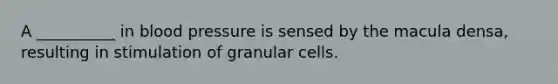 A __________ in blood pressure is sensed by the macula densa, resulting in stimulation of granular cells.