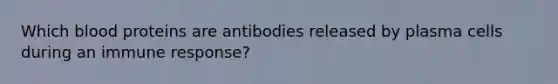 Which blood proteins are antibodies released by plasma cells during an immune response?