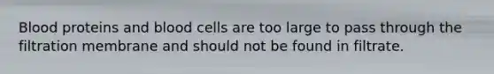 Blood proteins and blood cells are too large to pass through the filtration membrane and should not be found in filtrate.