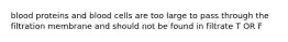 blood proteins and blood cells are too large to pass through the filtration membrane and should not be found in filtrate T OR F