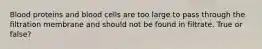 Blood proteins and blood cells are too large to pass through the filtration membrane and should not be found in filtrate. True or false?