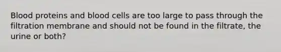 Blood proteins and blood cells are too large to pass through the filtration membrane and should not be found in the filtrate, the urine or both?