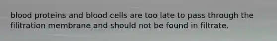 blood proteins and blood cells are too late to pass through the filitration membrane and should not be found in filtrate.