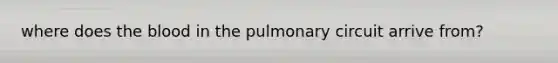 where does the blood in the pulmonary circuit arrive from?