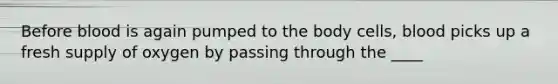 Before blood is again pumped to the body cells, blood picks up a fresh supply of oxygen by passing through the ____