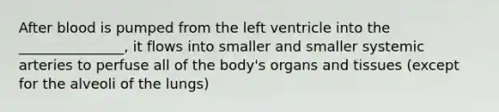 After blood is pumped from the left ventricle into the _______________, it flows into smaller and smaller systemic arteries to perfuse all of the body's organs and tissues (except for the alveoli of the lungs)