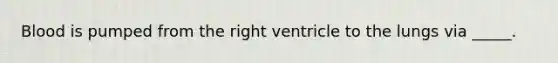 Blood is pumped from the right ventricle to the lungs via _____.