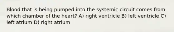 Blood that is being pumped into the systemic circuit comes from which chamber of the heart? A) right ventricle B) left ventricle C) left atrium D) right atrium