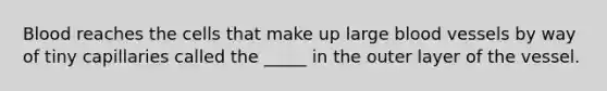 Blood reaches the cells that make up large blood vessels by way of tiny capillaries called the _____ in the outer layer of the vessel.