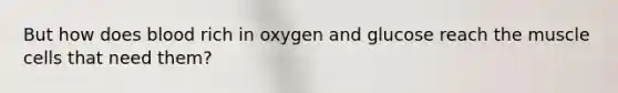 But how does blood rich in oxygen and glucose reach the muscle cells that need them?