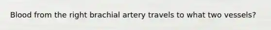 Blood from the right brachial artery travels to what two vessels?