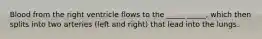 Blood from the right ventricle flows to the _____ _____, which then splits into two arteries (left and right) that lead into the lungs.