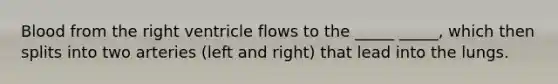 Blood from the right ventricle flows to the _____ _____, which then splits into two arteries (left and right) that lead into the lungs.