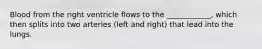 Blood from the right ventricle flows to the ____________, which then splits into two arteries (left and right) that lead into the lungs.