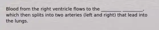 Blood from the right ventricle flows to the _________ _________, which then splits into two arteries (left and right) that lead into the lungs.