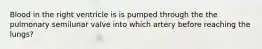 Blood in the right ventricle is is pumped through the the pulmonary semilunar valve into which artery before reaching the lungs?