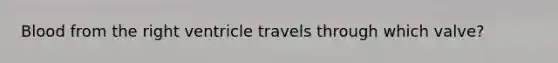 Blood from the right ventricle travels through which valve?