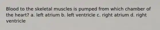 Blood to the skeletal muscles is pumped from which chamber of the heart? a. left atrium b. left ventricle c. right atrium d. right ventricle