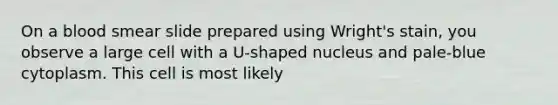 On a blood smear slide prepared using Wright's stain, you observe a large cell with a U-shaped nucleus and pale-blue cytoplasm. This cell is most likely