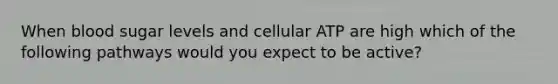 When blood sugar levels and cellular ATP are high which of the following pathways would you expect to be active?