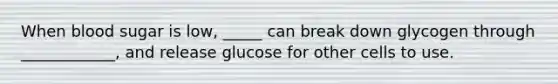 When blood sugar is low, _____ can break down glycogen through ____________, and release glucose for other cells to use.