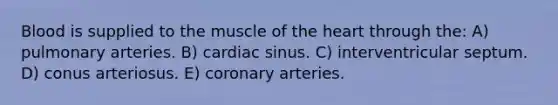 Blood is supplied to the muscle of the heart through the: A) pulmonary arteries. B) cardiac sinus. C) interventricular septum. D) conus arteriosus. E) coronary arteries.