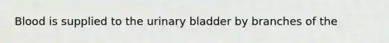 Blood is supplied to the <a href='https://www.questionai.com/knowledge/kb9SdfFdD9-urinary-bladder' class='anchor-knowledge'>urinary bladder</a> by branches of the