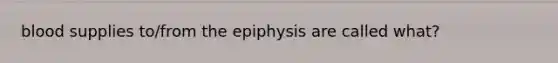 blood supplies to/from the epiphysis are called what?