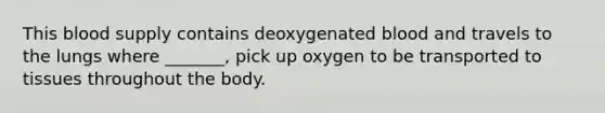 This blood supply contains deoxygenated blood and travels to the lungs where _______, pick up oxygen to be transported to tissues throughout the body.