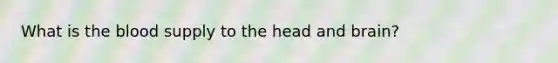 What is the blood supply to the head and brain?