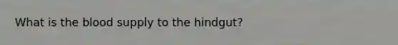 What is the blood supply to the hindgut?