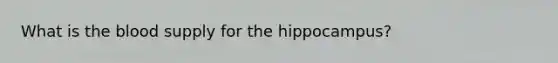 What is the blood supply for the hippocampus?