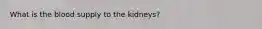 What is the blood supply to the kidneys?