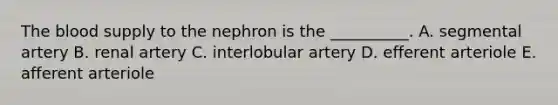 The blood supply to the nephron is the __________. A. segmental artery B. renal artery C. interlobular artery D. efferent arteriole E. afferent arteriole