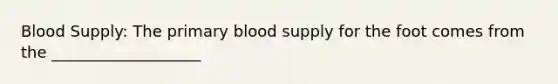 Blood Supply: The primary blood supply for the foot comes from the ___________________