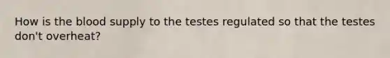 How is the blood supply to the testes regulated so that the testes don't overheat?