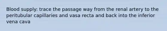 Blood supply: trace the passage way from the renal artery to the peritubular capillaries and vasa recta and back into the inferior vena cava