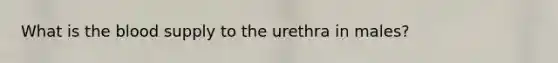 What is the blood supply to the urethra in males?