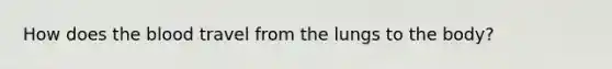 How does the blood travel from the lungs to the body?