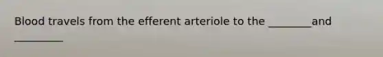 Blood travels from the efferent arteriole to the ________and _________